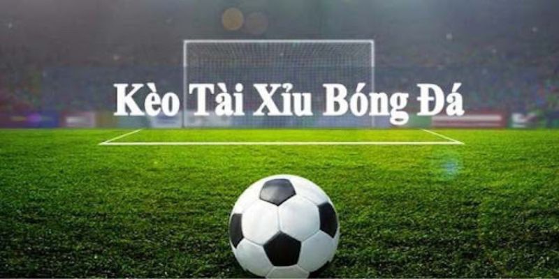 Hướng dẫn người chơi cách soi kèo hiệu quả