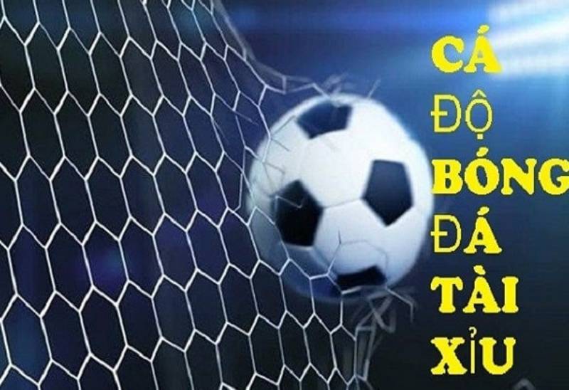 Cách chơi kèo tài xỉu trong bóng đá